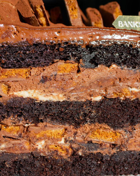 Chocolate Mud Sponge Cross Section